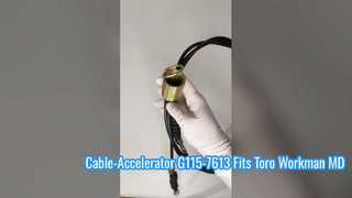 Acelerador de Cabo G115-7613